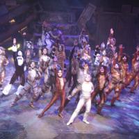 CATS Plays The Palace Theatre, 10/30-11/14